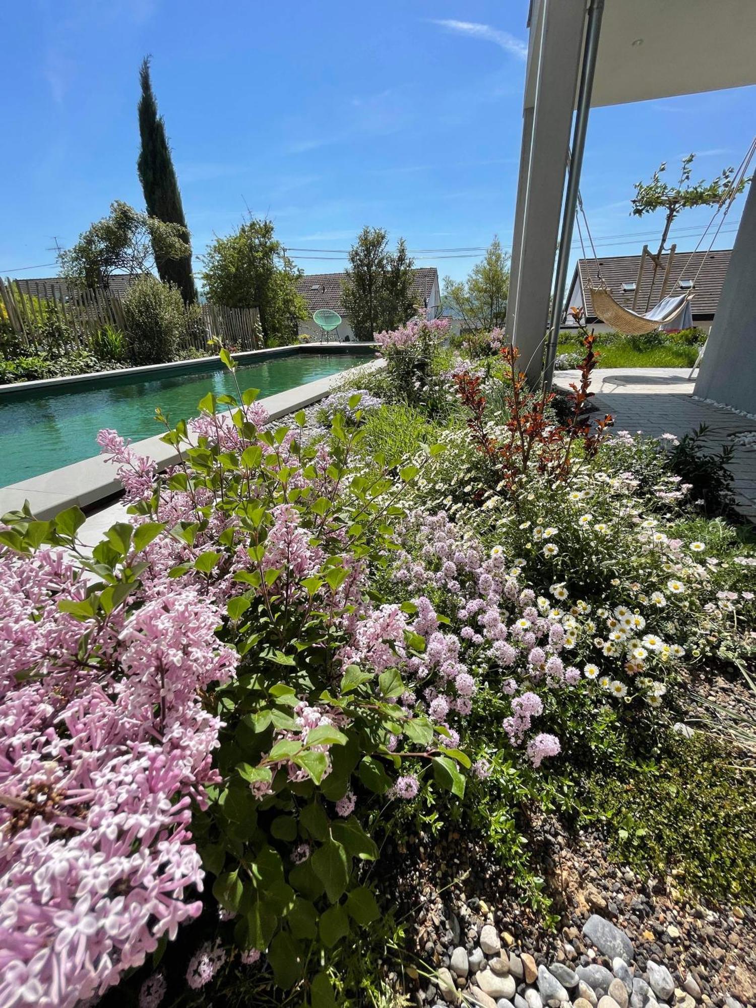Seezeichen-Apartment No 26 บอดมัน-ลุดวิกส์ฮาเฟิน ภายนอก รูปภาพ